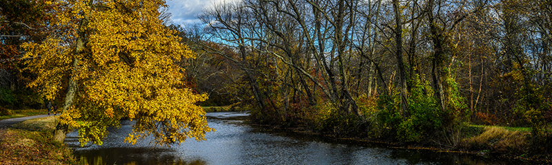 Trees by lake against sky during autumn, at Delaware and Raritan Canal, Princeton, New Jersey. 