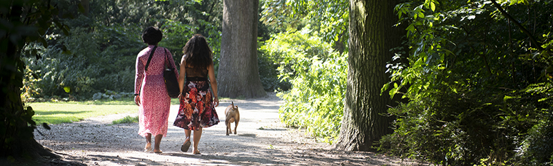 Two women in the park walking the dog, seen from behind.