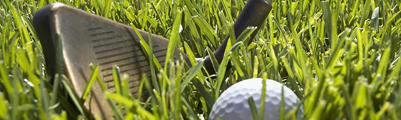 Golf ball and iron in grass, extreme close-up.