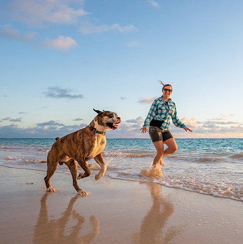 6 Dog-Friendly Destinations in Connecticut