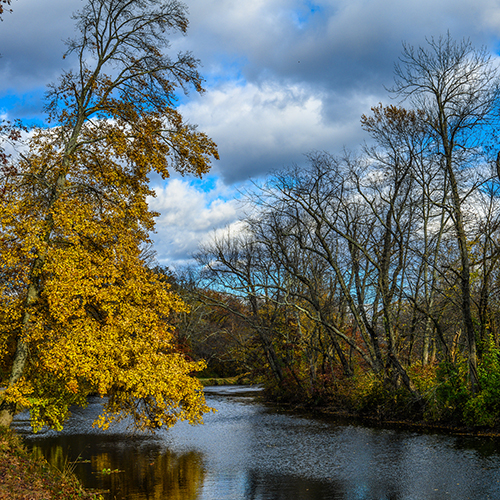 Trees by lake against sky during autumn, at Delaware and Raritan Canal, Princeton, New Jersey. 