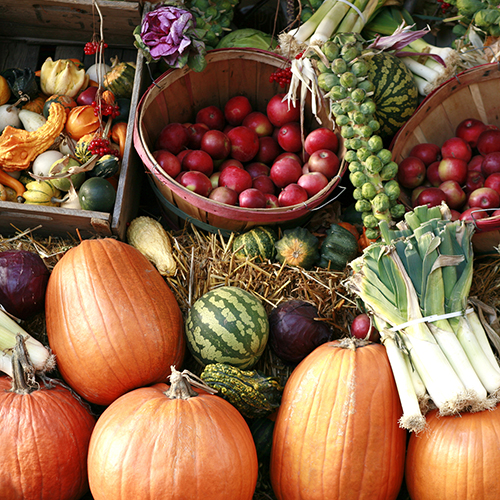 Pumpkin, Spice, and Everything Nice: 10 Fall Harvest Dishes You Can't Miss