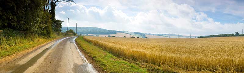 Roadside Scenes — New Jersey's Scenic Byways Day 2