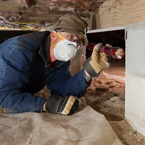 Termite inspector in residential crawl space inspects a pier for termites.