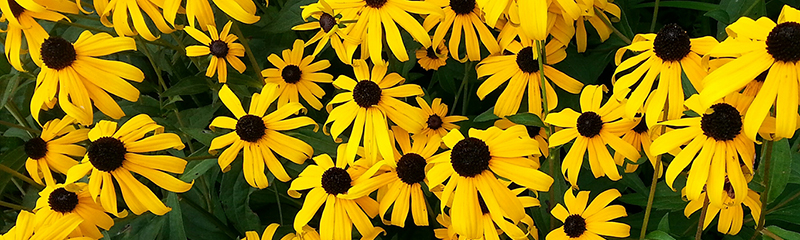 11 Intereseting Facts About Pennsylvania