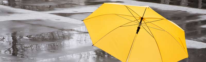An Umbrella for Auto and Home Liability