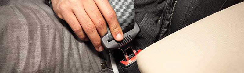 Buckle Up
