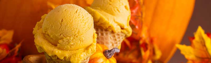 Everything Pumpkin Spice