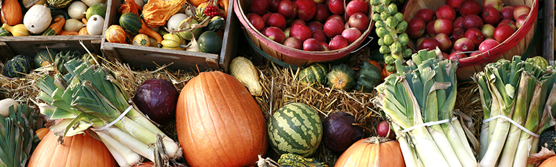 Pumpkin, Spice, and Everything Nice: 10 Fall Harvest Dishes You Can't Miss