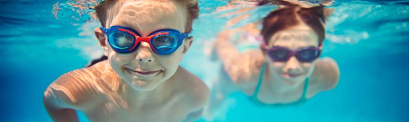 What's in Your Pool?