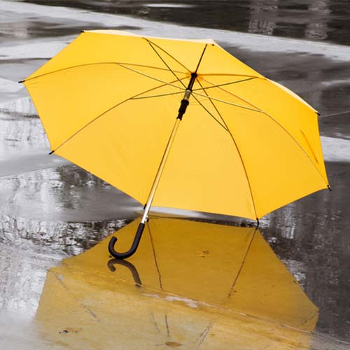 An Umbrella for Auto and Home Liability NJM