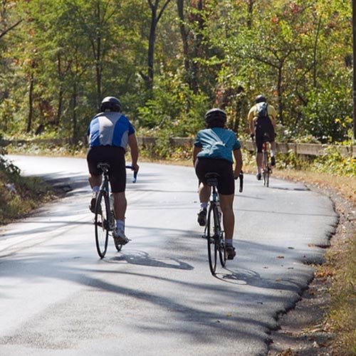 New Jersey Bike Trails NJM